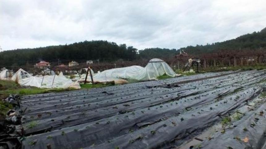 Marmaris'te Hortumun Yaraları Sarılıyor