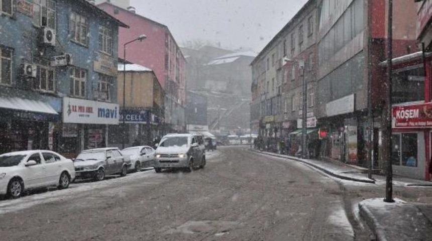 Bitlis'te 17 K&ouml;y Yolu Kardan Kapandı