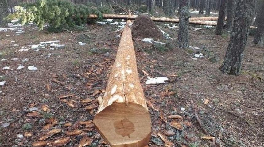 Taşk&ouml;pr&uuml;&rsquo;de &Uuml;retim Hız Kazandı
