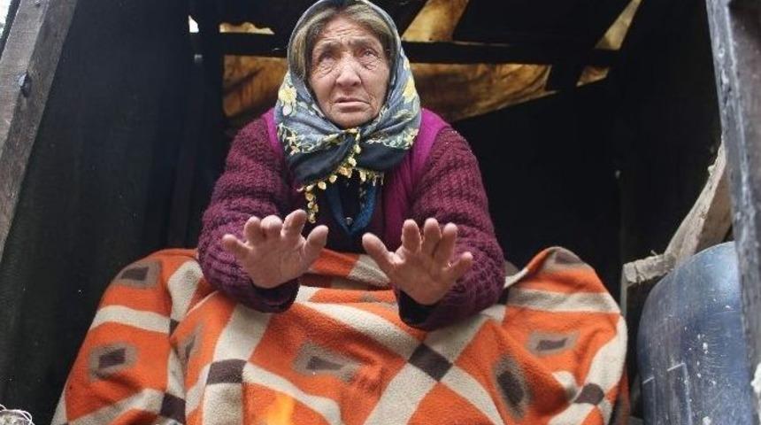 Yaşlı Kadının Y&uuml;rek Yakan Fotoğrafı