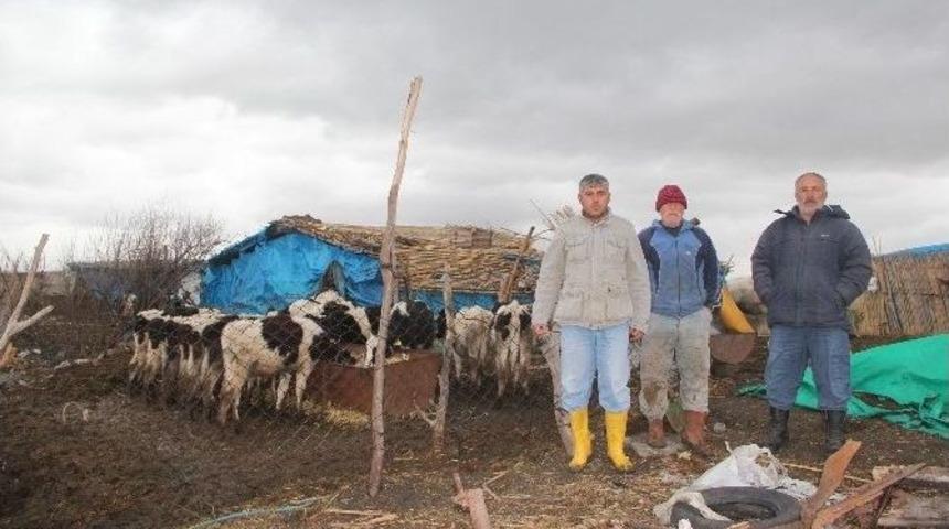 D&ouml;rtyol&rsquo;da Besiciler Mera İstiyor