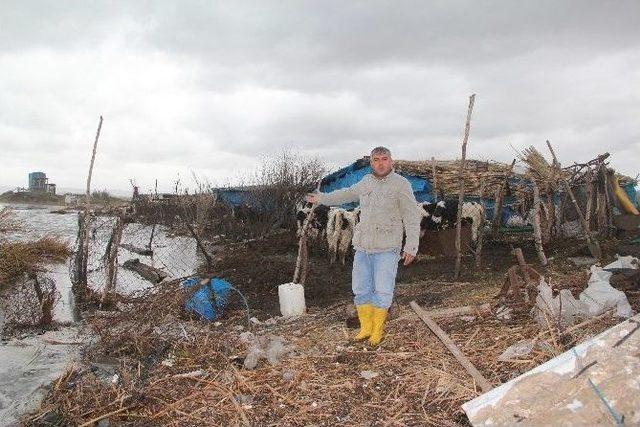 Dörtyol’da Besiciler Mera İstiyor