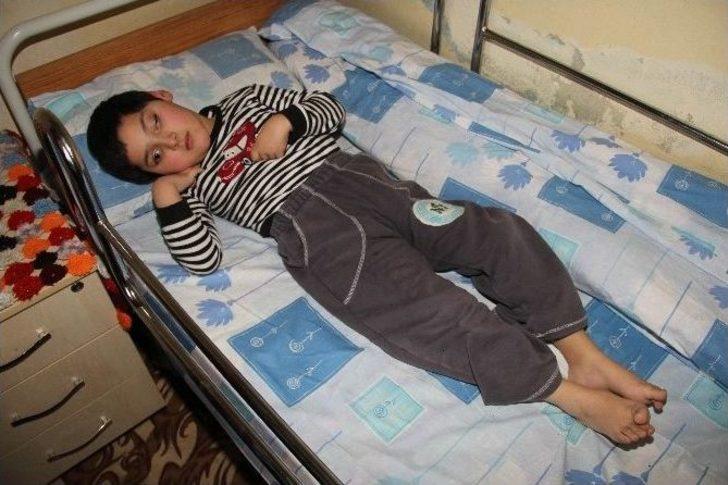 Koca Cinayetinde Dram Ve İhmal İddiası G1