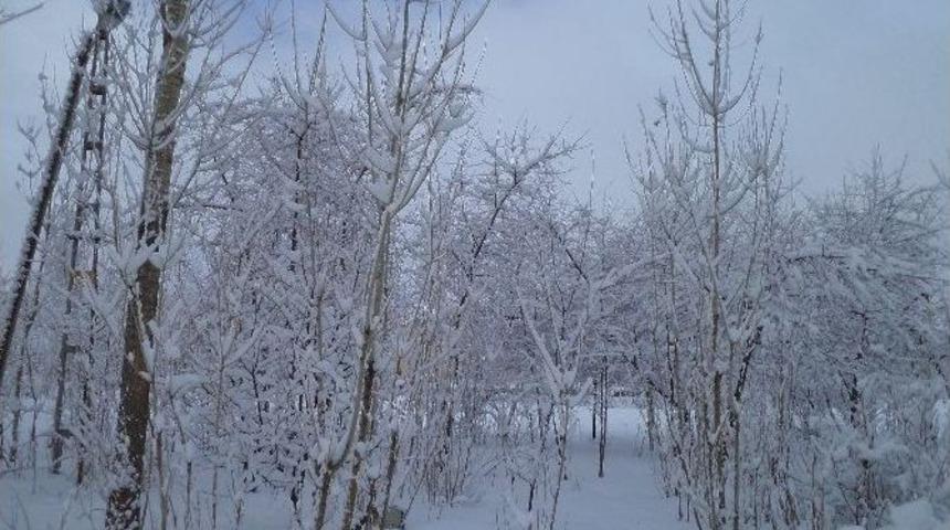 Varto&rsquo;da Kar Yağışı