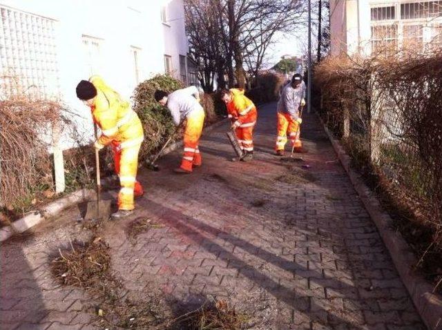 Tekirdağ’da Yağmur Sonrası Çevre Temizliği