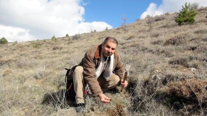&Ccedil;evre Dostu Okyay'dan G&ouml;n&uuml;ll&uuml; &Ccedil;ağrısı