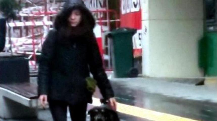 Sokak K&ouml;peği Kendisini Seven &Ouml;ğrencinin Peşinden Gitti