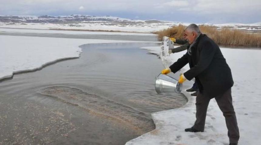 Er&ccedil;ek G&ouml;l&uuml; &Ccedil;evresine Kuşlar I&ccedil;in Yem Bırakıldı