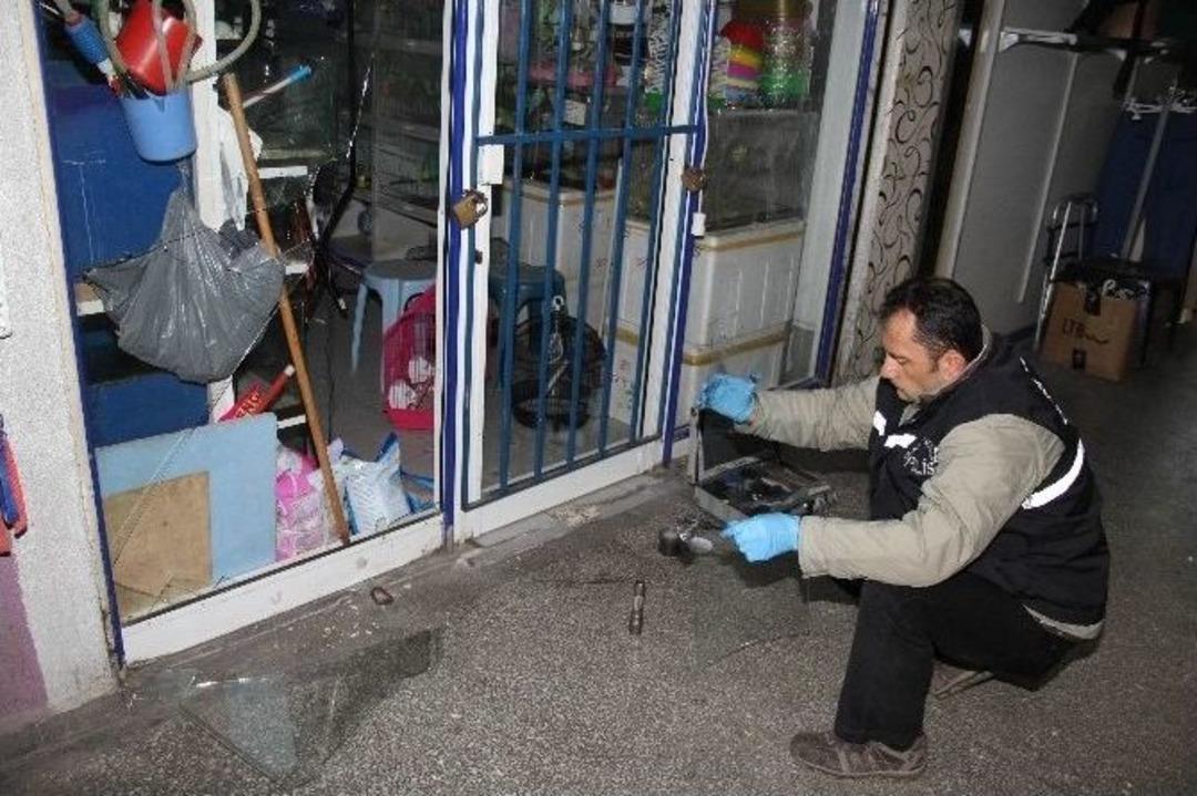 Hırsızlar Aynı Pasajda Yine Kuş &Ccedil;aldı, Hamsterları &Ouml;ld&uuml;rd&uuml;