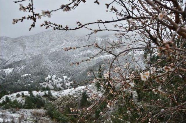 Manisa'da Kar Yağışı Etkili Oldu