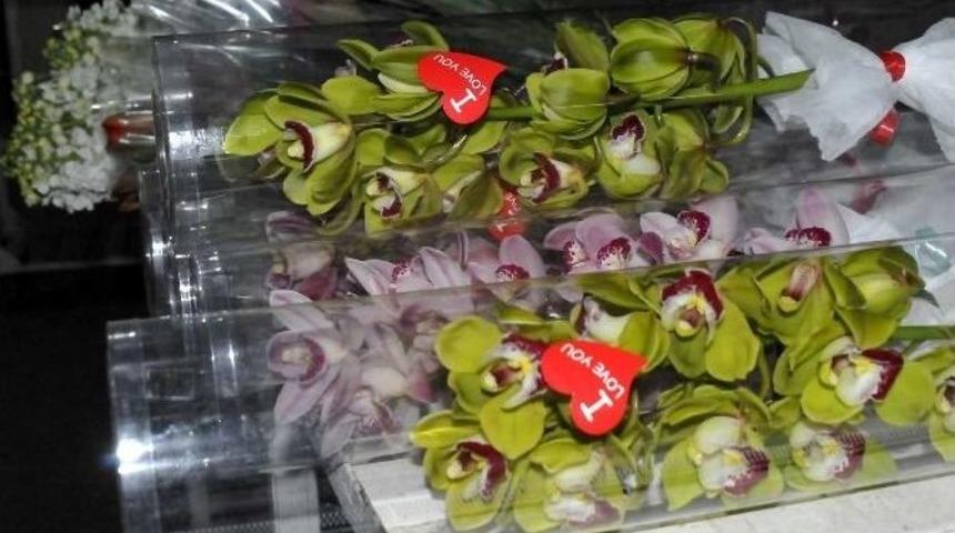 Sevgililer G&uuml;n&uuml; &Ccedil;i&ccedil;eklerine Lodos Darbesi