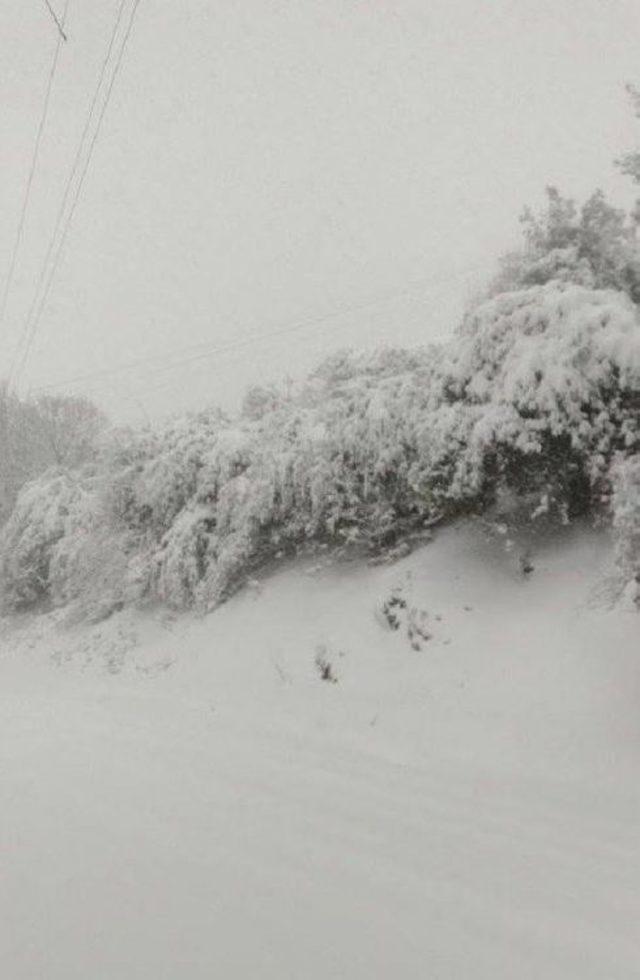 Turgutlu'da Kar Bazı Mahallelerin Yolunu Kapadı