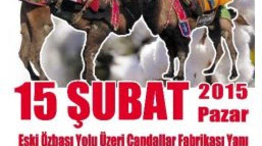 S&ouml;ke&rsquo;de Deve G&uuml;reşi Heyecanı