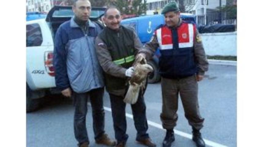 Jandarmadan Kızıl Şahin&rsquo;e Şefkat Eli