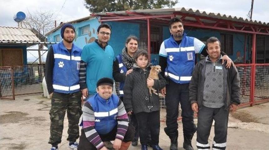 Didim&rsquo;de Hayvan Barınağı Tekrar Belediyenin Kontrol&uuml;nde.