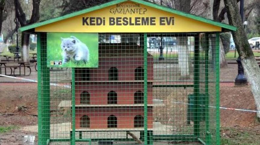 Gaziantep&rsquo;Te Sokak Kedilerine Barınak