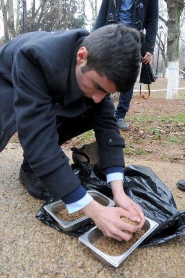 Gaziantep’Te Sokak Kedilerine Barınak