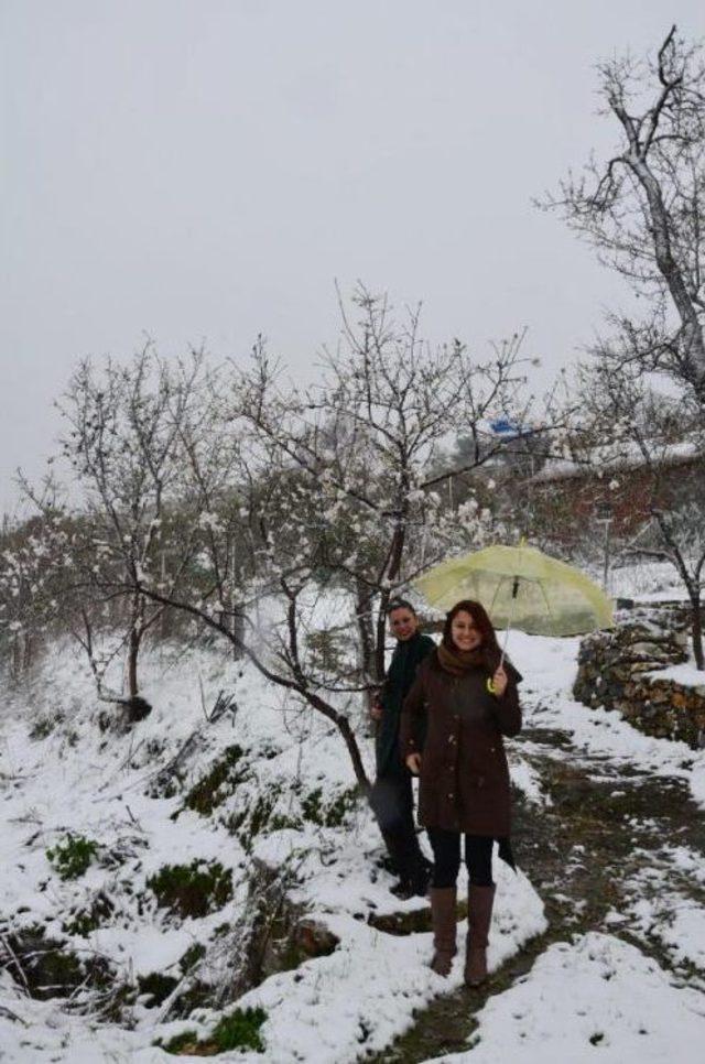 Erken Baharla Çiçek Açan Ağaçlar Ve Kırlar Beyaza Büründü