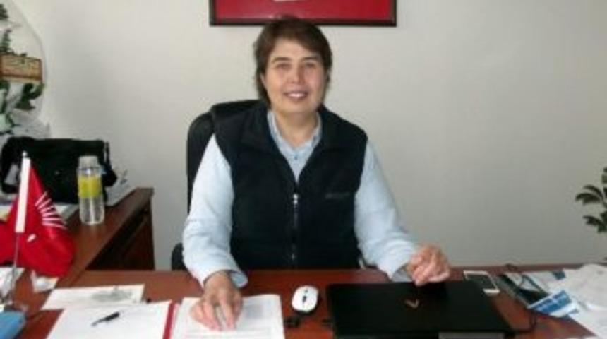 Zeliha Aksaz Şahbaz: K&uuml;tahya, Zenginliklerinin Bedelini Vekil Sayısıyla &Ouml;dedi