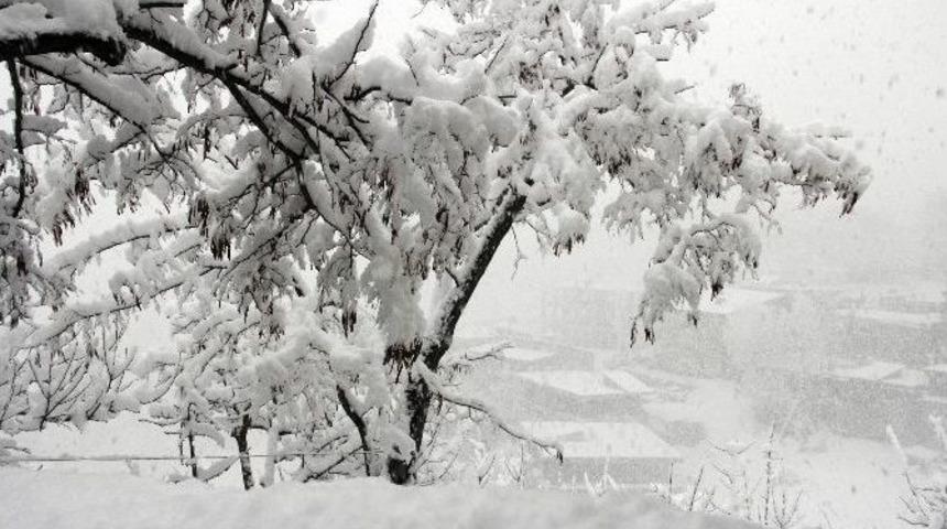 Hakkari Kar Altında