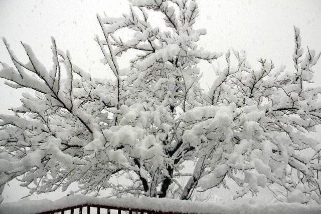 Hakkari Kar Altında