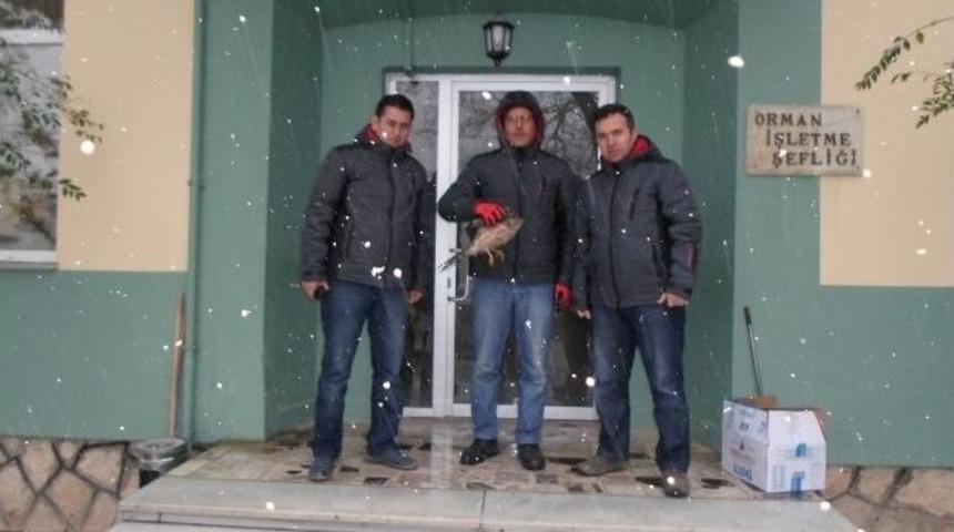 Hayvanlar İ&ccedil;in Veterinerlerden 24 Saat Kar N&ouml;beti