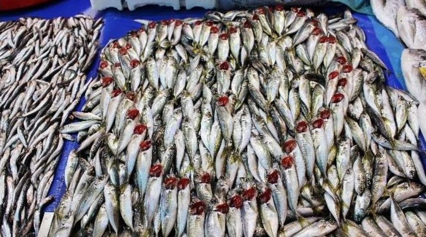 İstavrit Balıklarıyla Sevgililer G&uuml;n&uuml;ne &Ouml;zel Kalp Yaptı