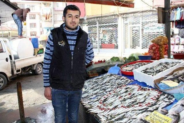 İstavrit Balıklarıyla Sevgililer Gününe Özel Kalp Yaptı