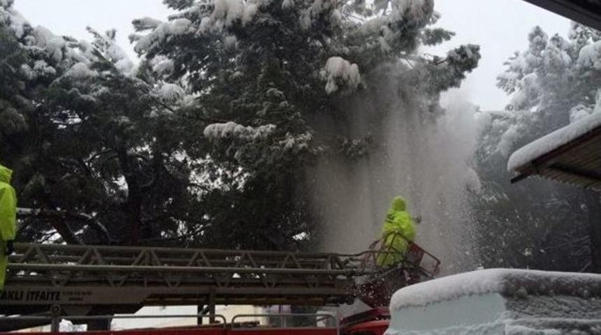 İtfaiye Ekipleri Ağa&ccedil;ları Su Sıkarak Kurtardı