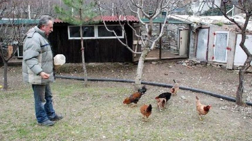 Cenazede Hakkını Helal Etmeyen &Ccedil;ift&ccedil;i, Milletvekili Adayı Oluyor