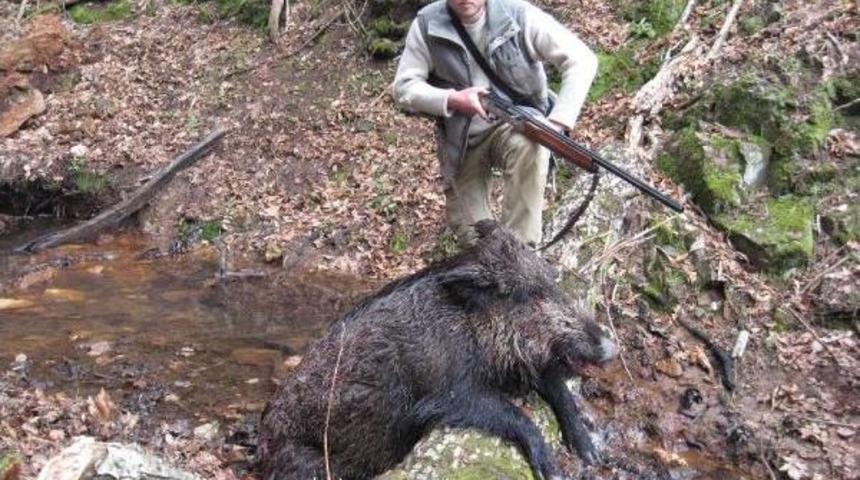 Kazdağları'nda Domuz Avı
