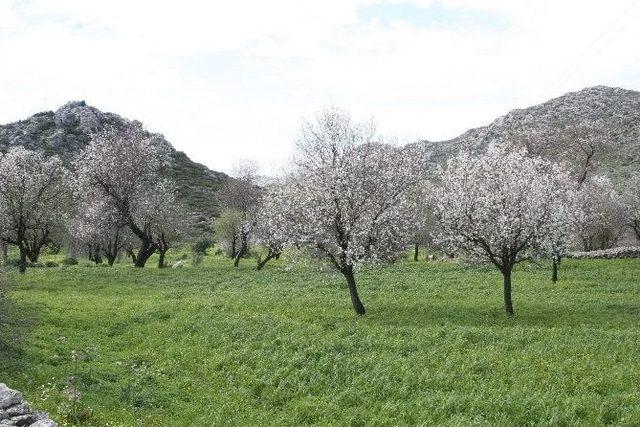 Türkiye’de Kar Marmaris’te Bahar