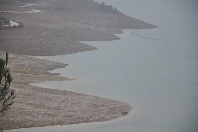 Yağmur Barajlara Yaradı