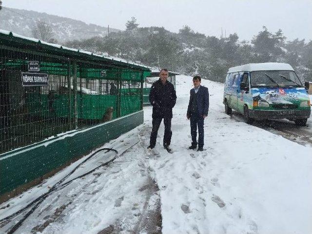 Mikroçip Enjektörü Ve Kulak Küpesi Dağıtımı Yapıldı