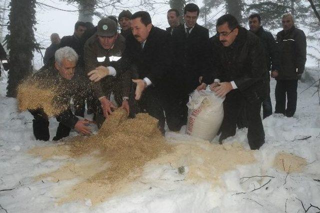 Türkiye’de Sadece Ordu’da