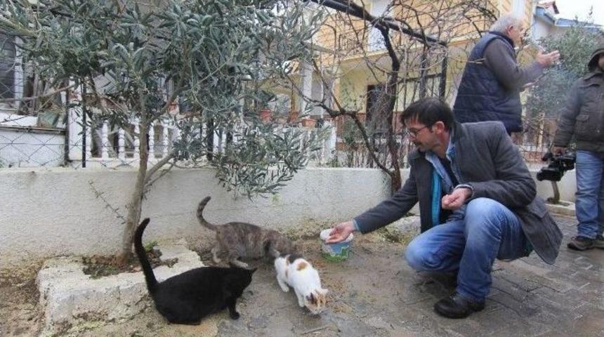 Sokak Hayvanlarına Mama Desteği