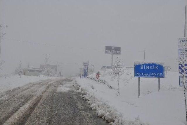 Sincik’te Kar Yağışı Etkili Olmaya Devam Ediyor