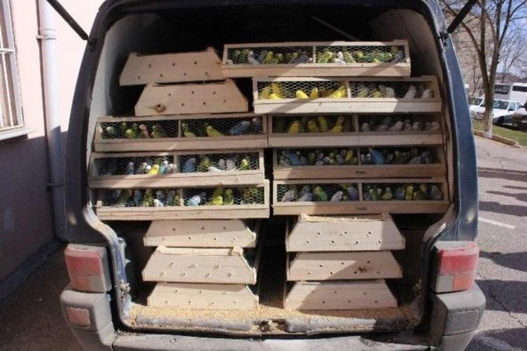 Edirne&rsquo;de Hayvan Ka&ccedil;ak&ccedil;ılığı Operasyonu