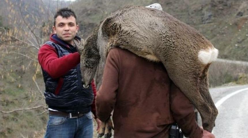 (&ouml;zel Haber) Karacayı K&ouml;peklerden Vatandaşlar Kurtardı