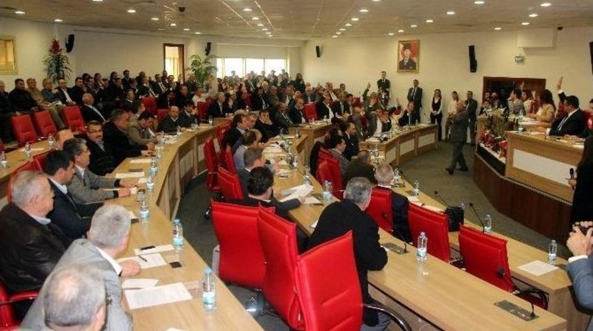 Başkan &Ccedil;er&ccedil;ioğlu, 750 İncir Ağacını Kesilmekten Kurtardı