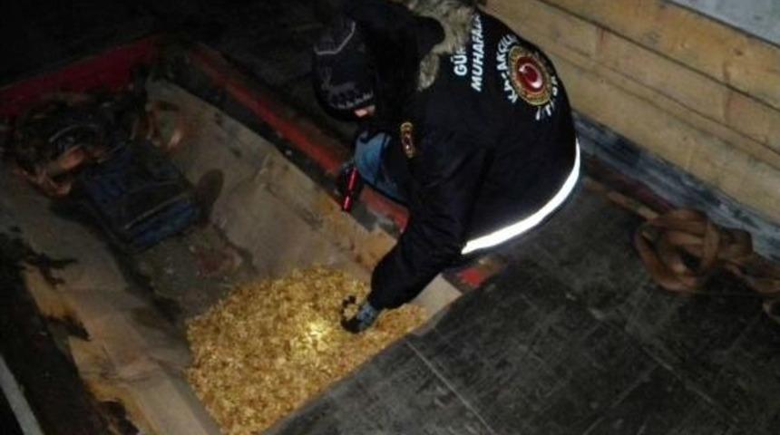 Hamzabeyli&rsquo;De 235 Kilo Ka&ccedil;ak Ceviz Ele Ge&ccedil;ti