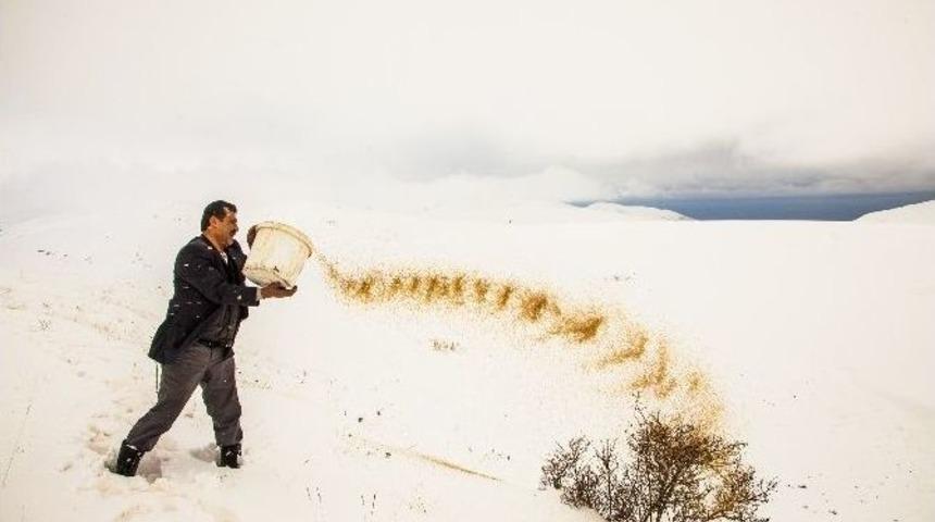 (&ouml;zel Haber) Yaban Hayvanları İ&ccedil;in B&uuml;y&uuml;k Fedakarlık