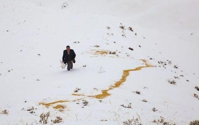 (özel Haber) Yaban Hayvanları İçin Büyük Fedakarlık