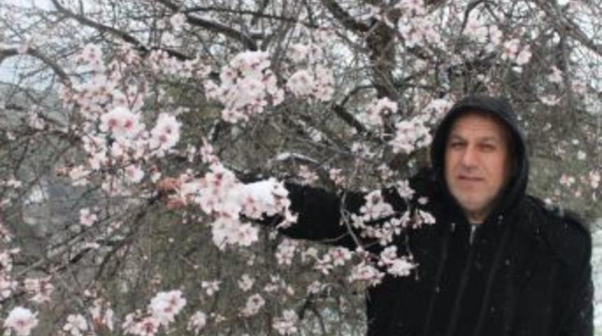 Karda, Bademler &Ccedil;i&ccedil;ek A&ccedil;tı