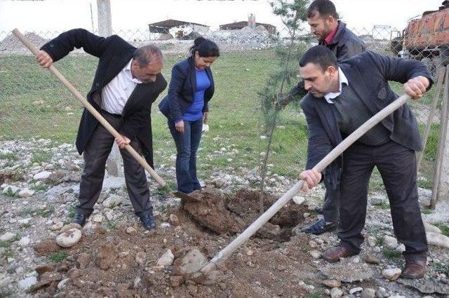 Kasaplar Mezbahane Bahçesine Fidan Dikti