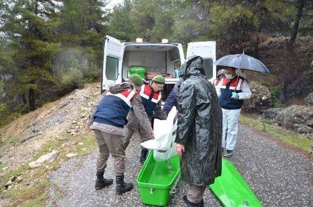 Üniversiteli Kız Yakılarak Öldürüldü