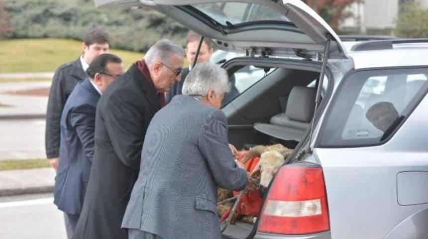 Ensar &Ouml;ğ&uuml;t, Meclis'te Aracının Bagajında Getirdiği Ko&ccedil; Ile Basın Toplantısı D&uuml;zenledi