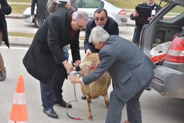 Ensar Öğüt, Meclis'te Aracının Bagajında Getirdiği Koç Ile Basın Toplantısı Düzenledi