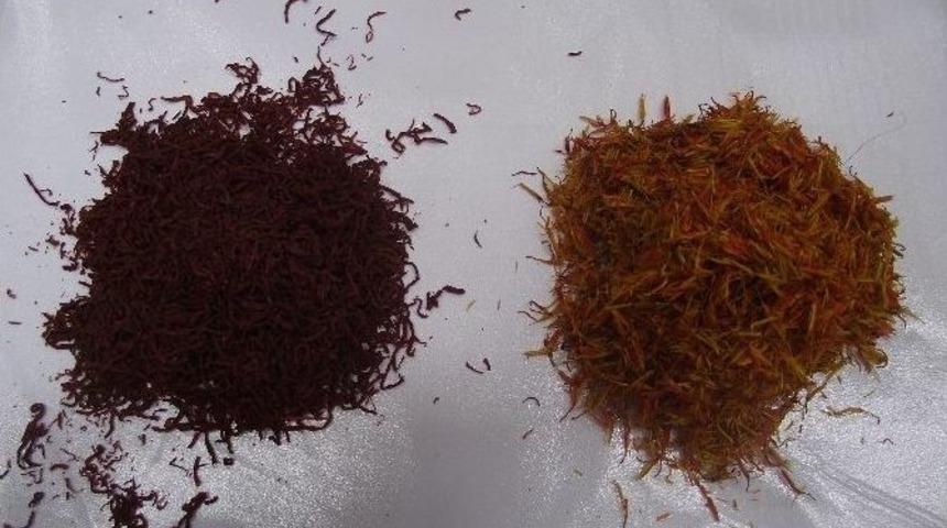 Araba Fiyatına Bitki