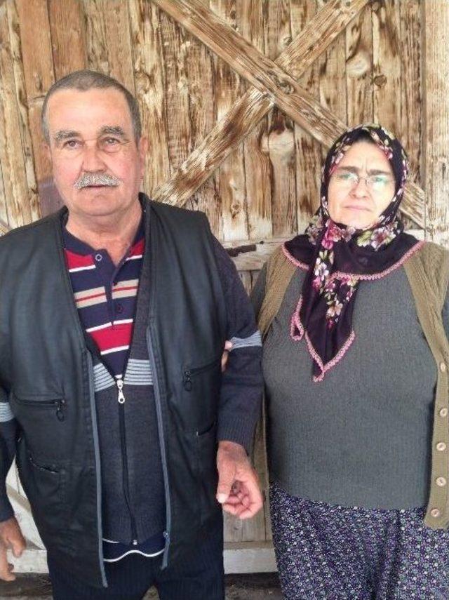 (&ouml;zel Haber) Bitkiler Sayesinde Bacağı Kesilmekten Kurtuldu 1